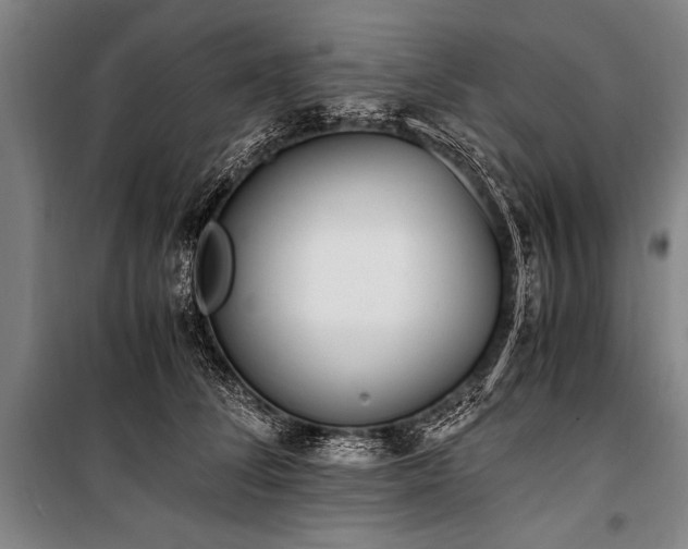 X0000101190708200806271316
