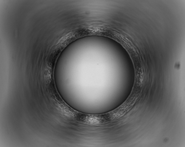 X0000101190710200806271316