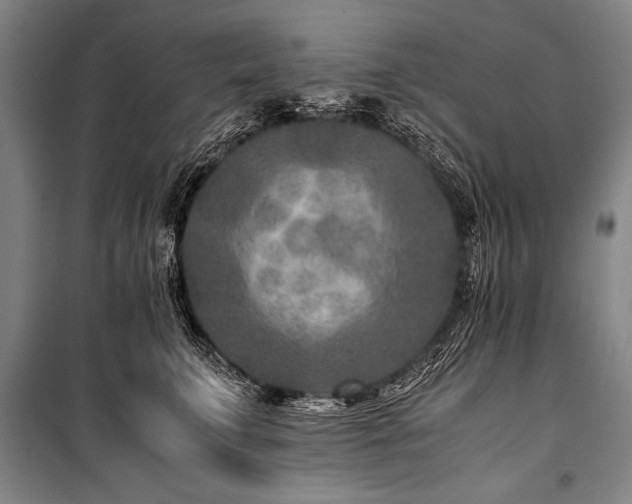 X0000101190711200806271316