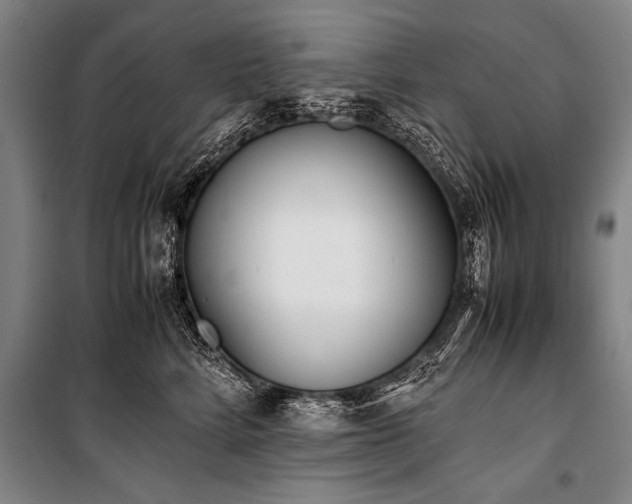 X0000101190712200806271316