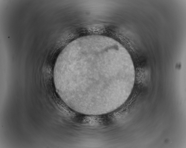 X0000101190713200806271316