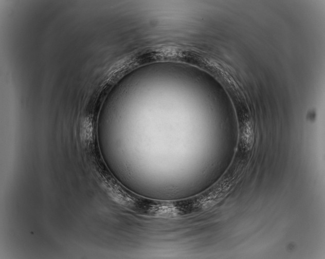 X0000101190715200806271316