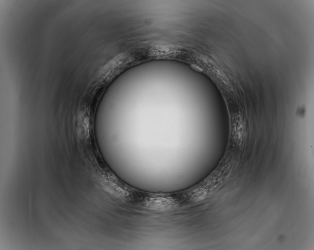 X0000101190716200806271316