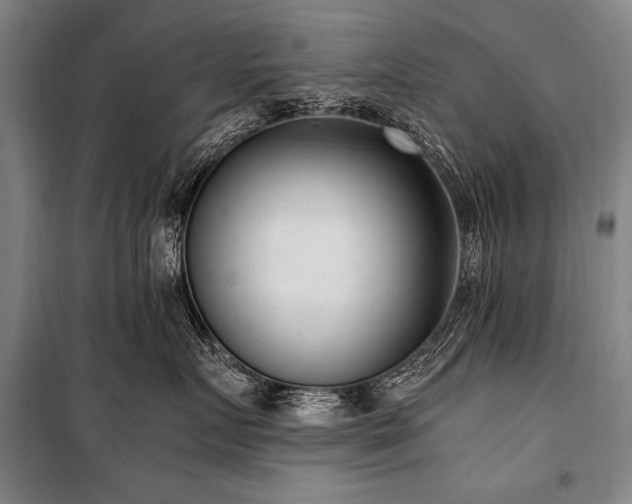 X0000101190719200806271316