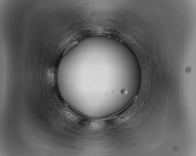 X0000101190720200806271316
