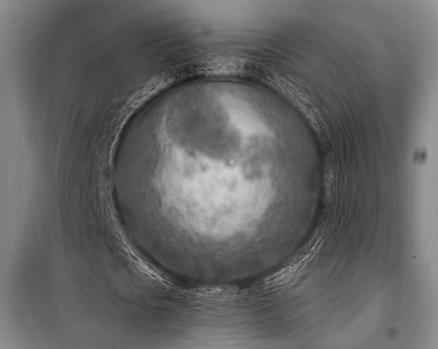 X0000101190721200806271315