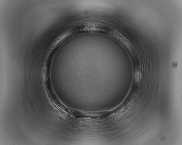 X0000101190724200806271315