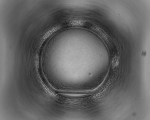 X0000101190725200806271315