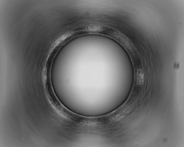 X0000101190726200806271315