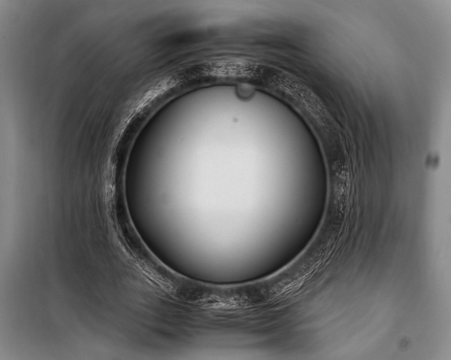 X0000101190727200806271315