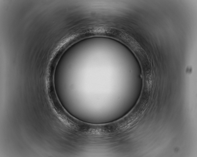 X0000101190728200806271315