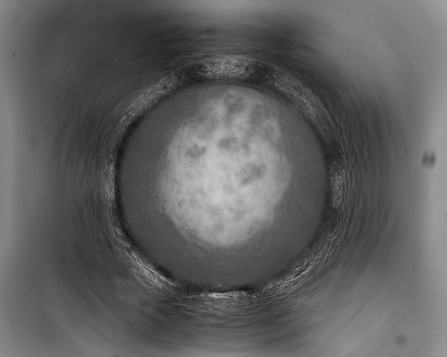 X0000101190729200806271315