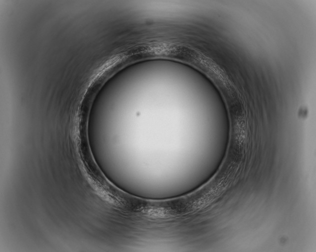 X0000101190730200806271315