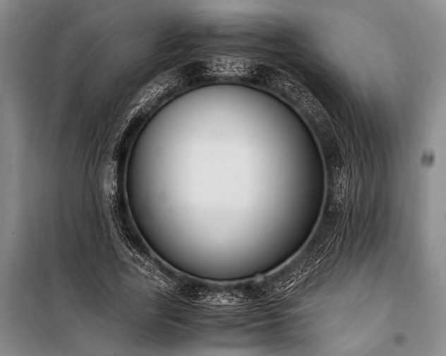 X0000101190731200806271315