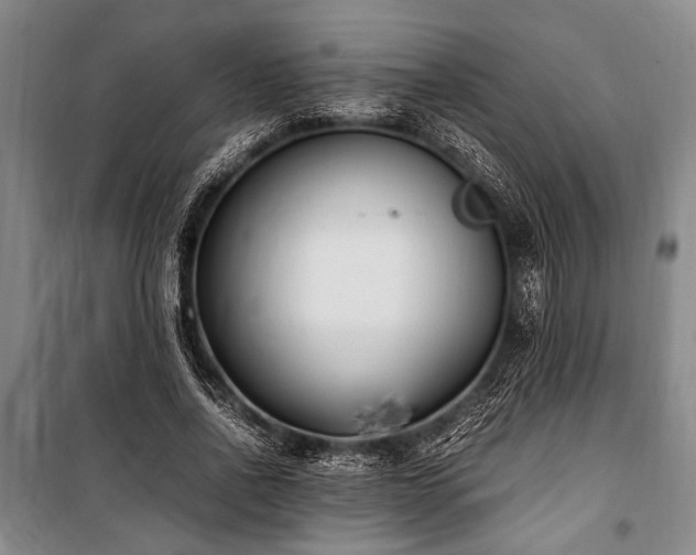 X0000101190734200806271315
