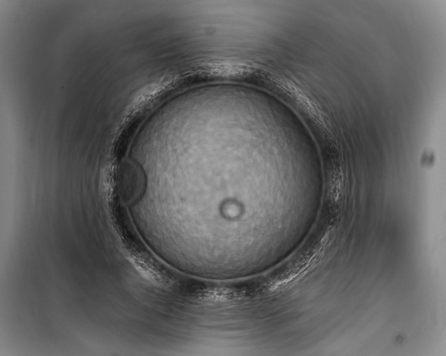 X0000101190736200806271315