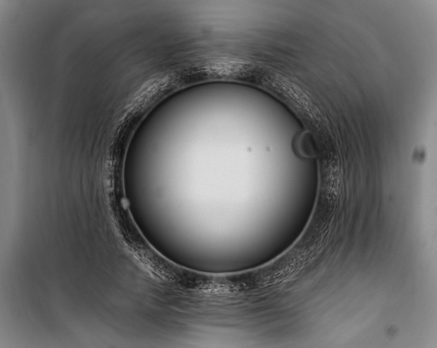 X0000101190738200806271315