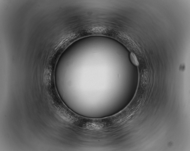 X0000101190739200806271315