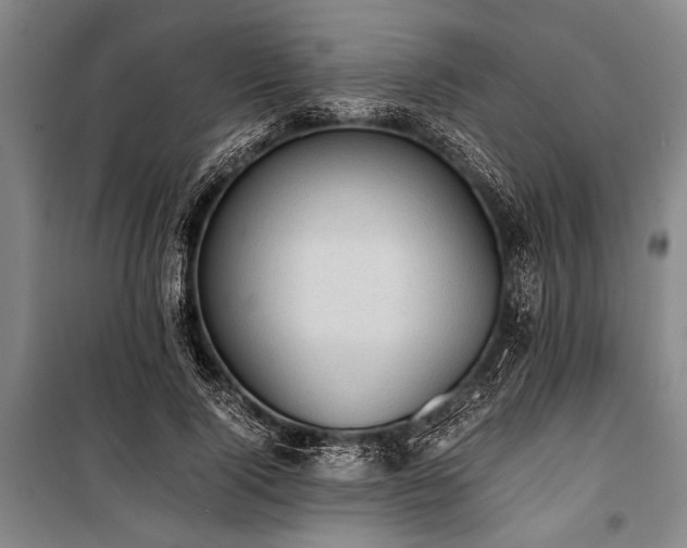 X0000101190740200806271315