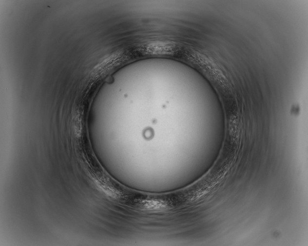 X0000101190741200806271315