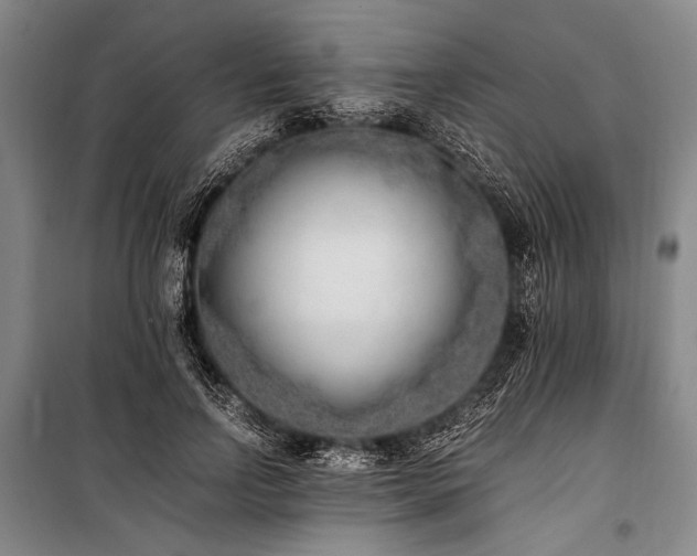 X0000101190742200806271315