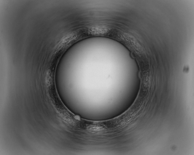 X0000101190743200806271315