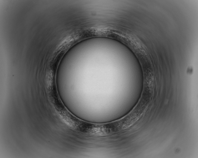 X0000101190744200806271315
