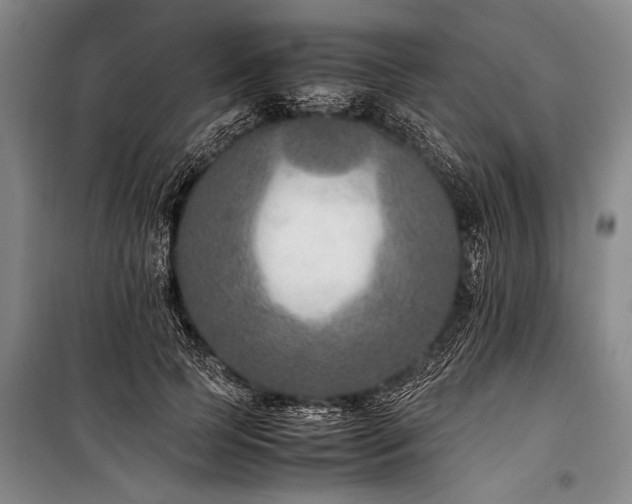 X0000101190745200806271315
