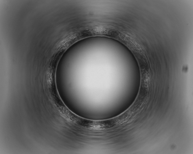 X0000101190746200806271315
