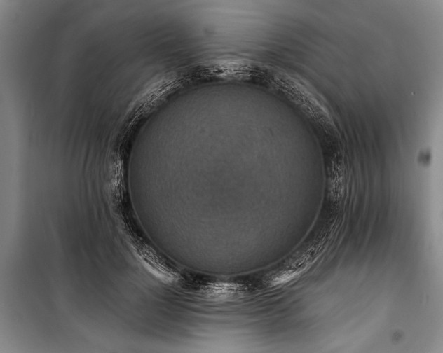 X0000101190748200806271315