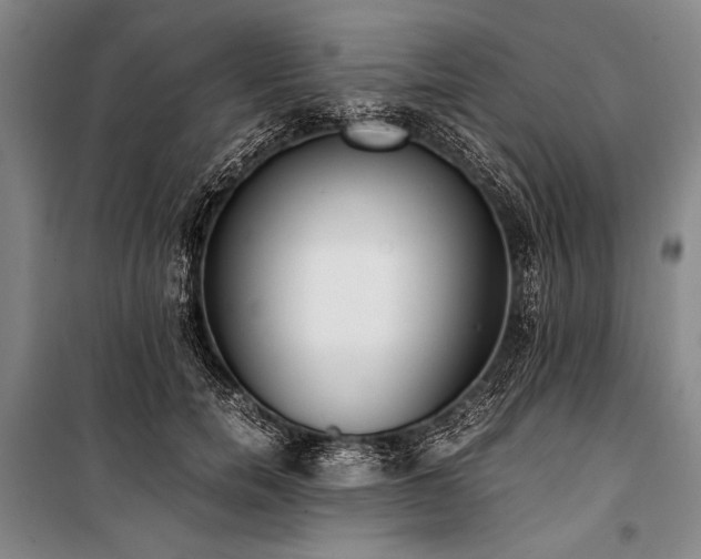 X0000101190750200806271315