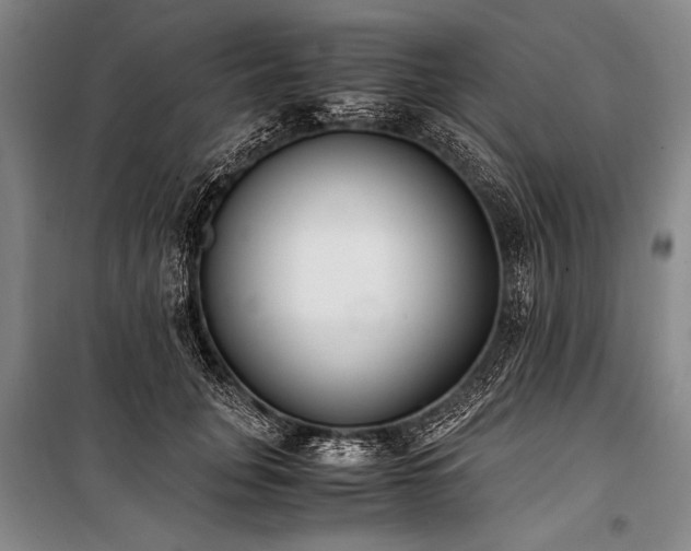 X0000101190751200806271315