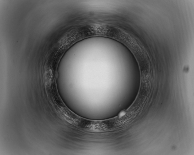 X0000101190752200806271315