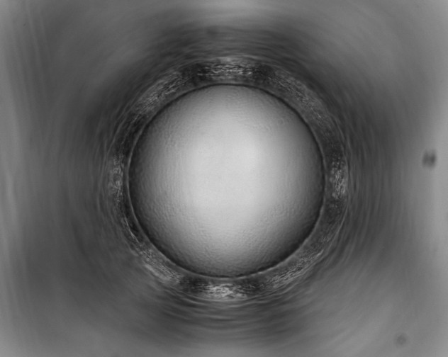 X0000101190753200806271315