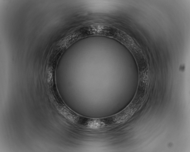 X0000101190754200806271316