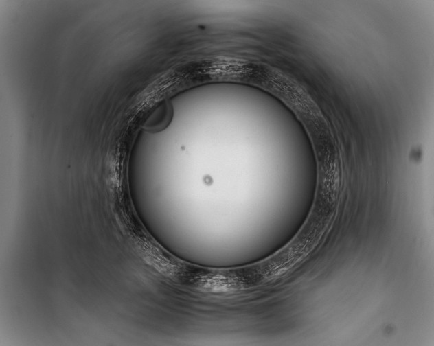 X0000101190755200806271316