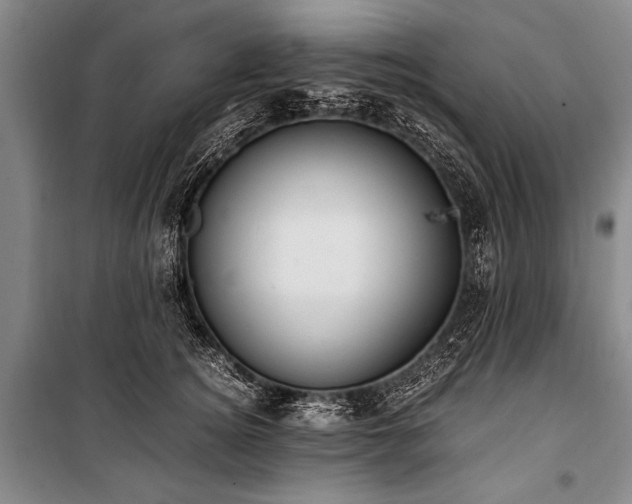 X0000101190756200806271316