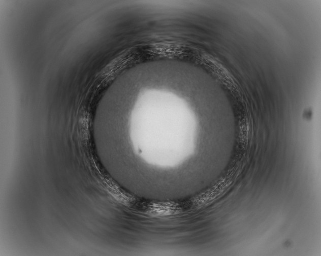 X0000101190757200806271316