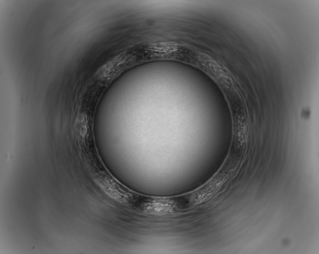X0000101190758200806271316