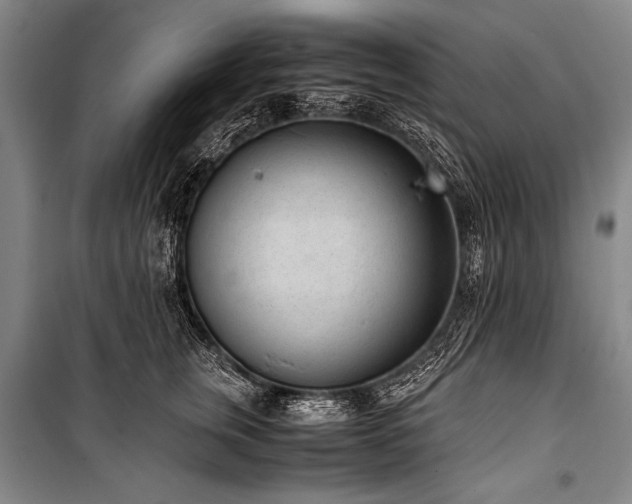 X0000101190759200806271316