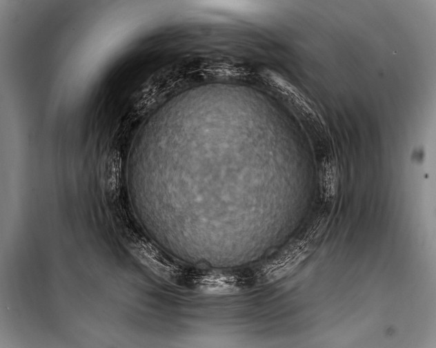 X0000101190760200806271316