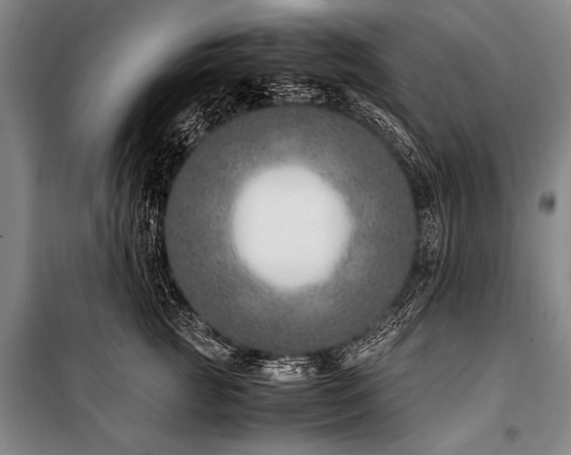 X0000101190761200806271316
