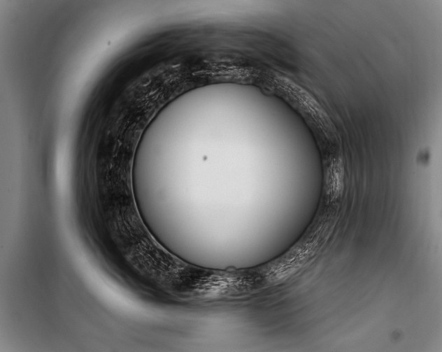 X0000101190764200806271316