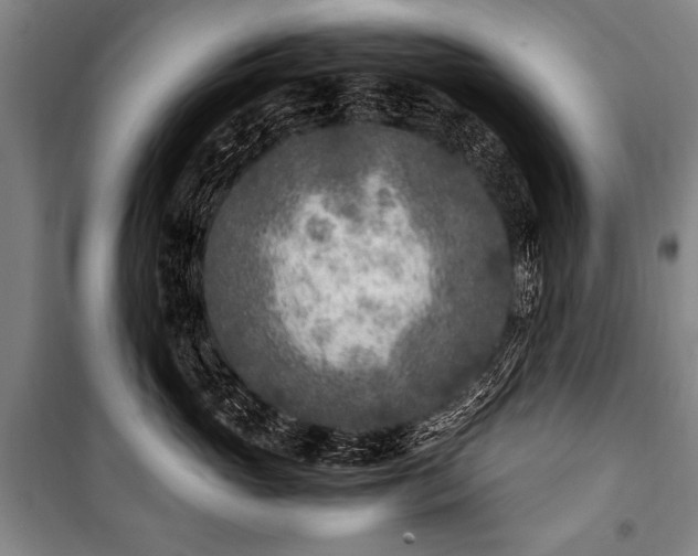 X0000101190765200806271316