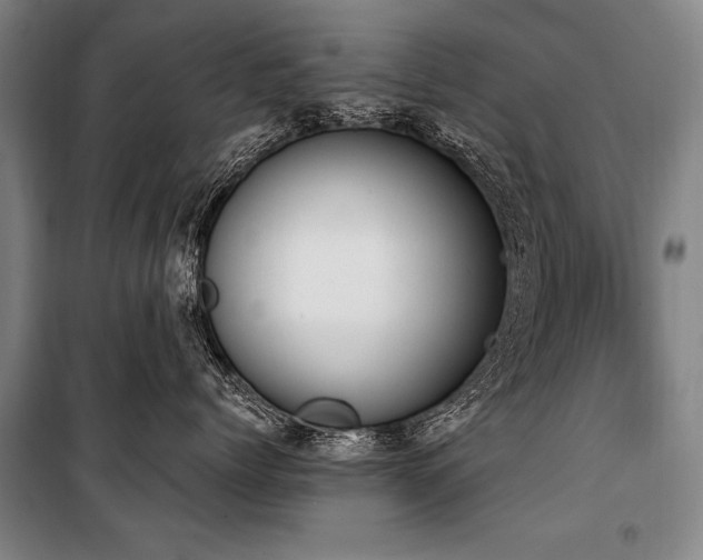 X0000101190768200806271316
