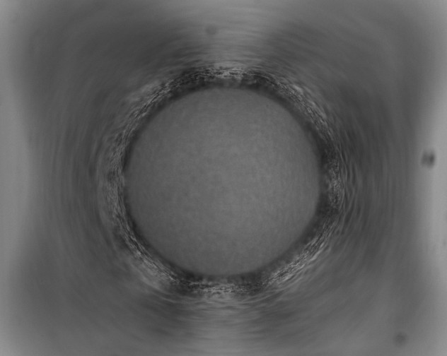 X0000101190769200806271315