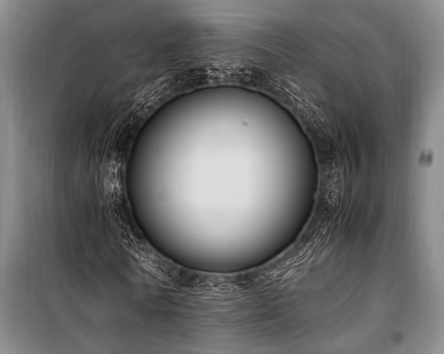 X0000101190770200806271315