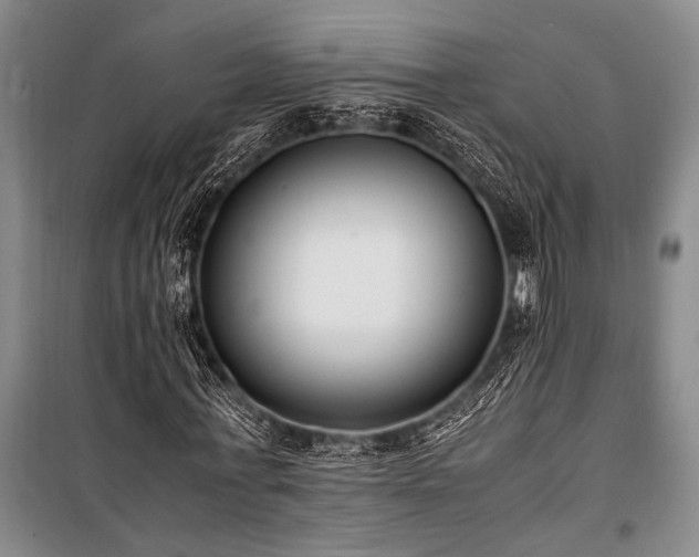 X0000101190771200806271315