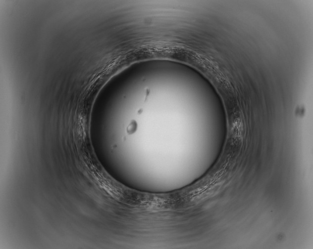 X0000101190772200806271315
