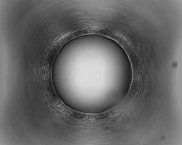 X0000101190773200806271315